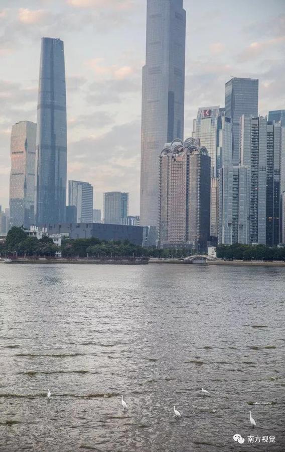 Xcellent International Serviced Apartment 광저우 외부 사진